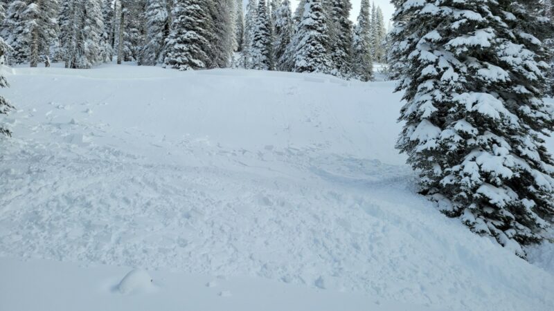 Sled trigger next to larger slide on West side of Mica Ridge