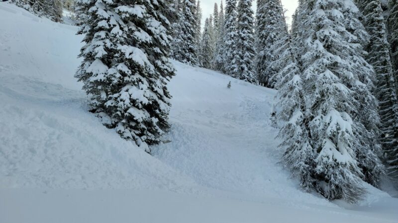 Sled trigger next to larger slide on West side of Mica Ridge