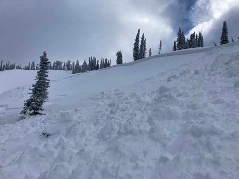 Snowmobile-triggered avalanche near Council Mtn Monday (02/06). HS-AMu-R3-D2-7340'-N/NE. This avalanche ran on a layer buried surface hoar, ranged in depth from 40-110 cm (16-44