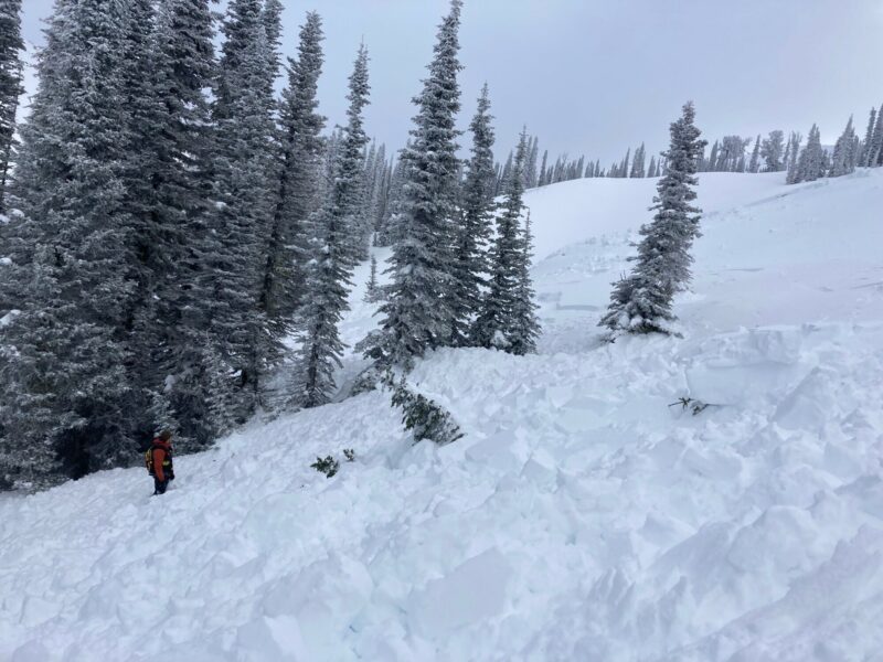 Snowmobile-triggered avalanche near Council Mtn Monday (02/06). HS-AMu-R3-D2-7340'-N/NE. This avalanche ran on a layer buried surface hoar, ranged in depth from 40-110 cm (16-44