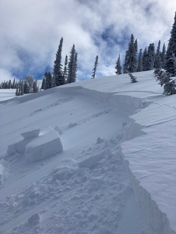 Snowmobile-triggered avalanche near Council Mtn Monday (02/06). HS-AMu-R3-D2-7340'-N/NE. This avalanche ran on a layer buried surface hoar, ranged in depth from 40-110 cm (16-44