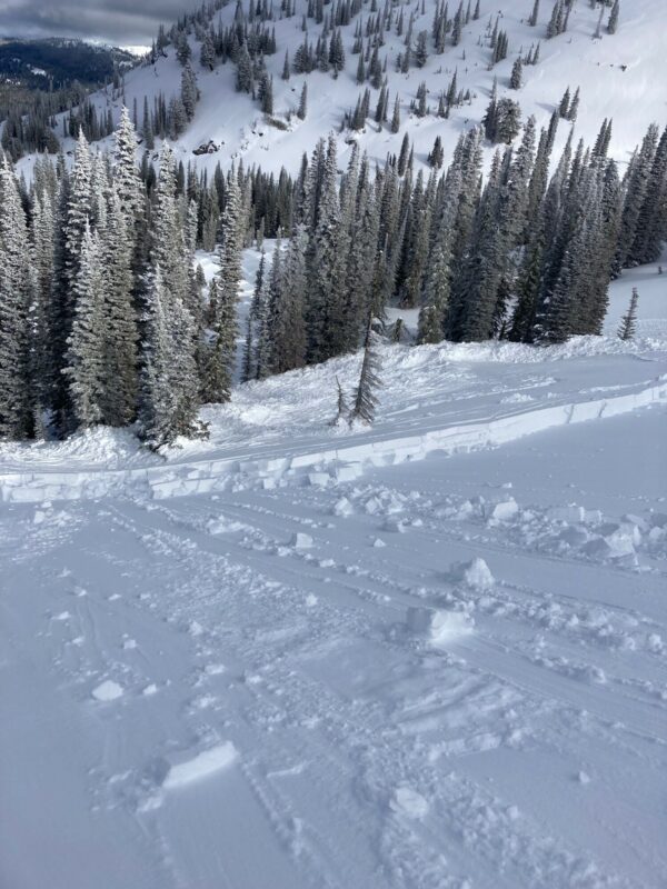 Snowmobile-triggered avalanche near Council Mtn Monday (02/06). HS-AMu-R3-D2-7340'-N/NE. This avalanche ran on a layer buried surface hoar, ranged in depth from 40-110 cm (16-44