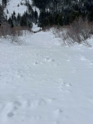 Looking down avalanche debris.