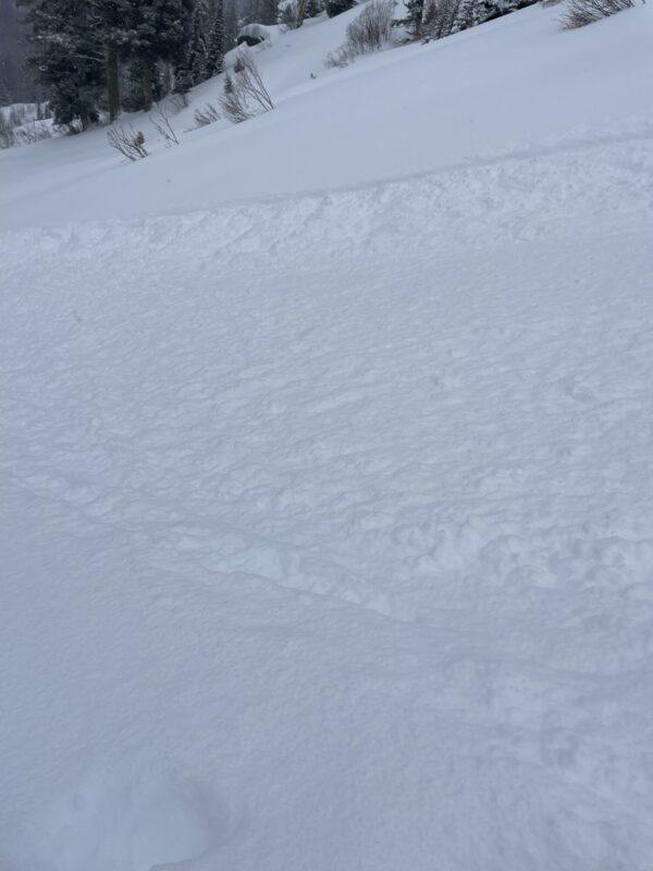 Another look at loose snow sluff.