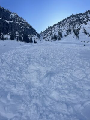 Natural Wet loose released on Tuesday 3/21/23 in afternoon.