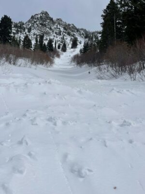 Large avalanche from 3/10/23 storm