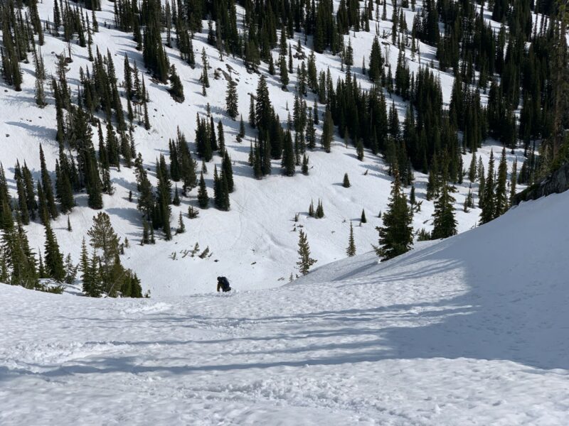 The upper face, skied just in time before the big warm up.