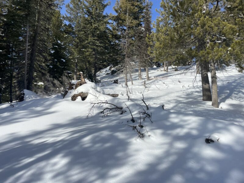 Early season conditions with many obstacles still.
