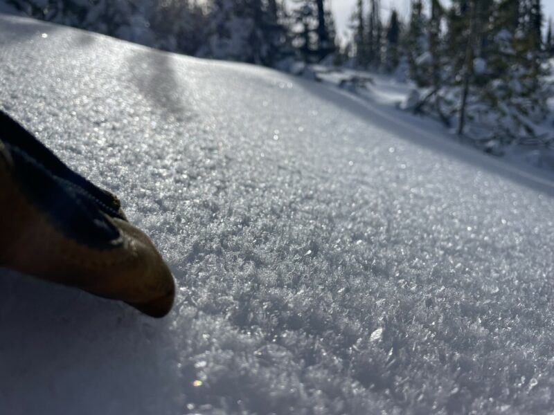 Surface snow on north aspect weakening.