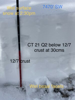 Snow pit photo of SW aspect.