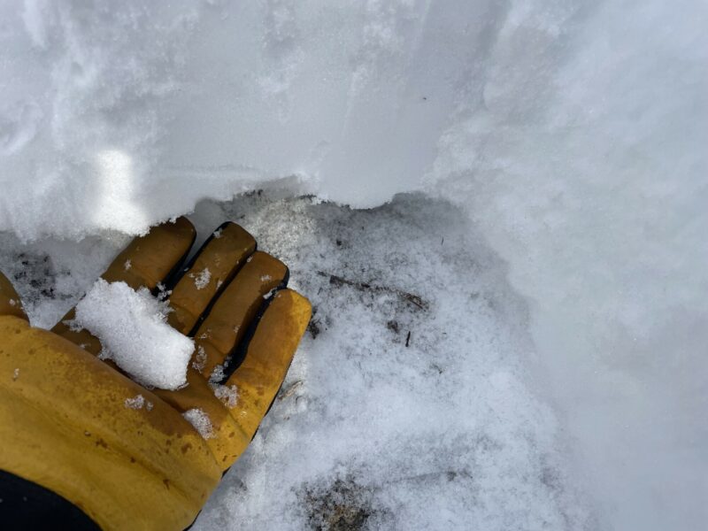 Wet basal facets in snow pit on SW aspect in afternoon.